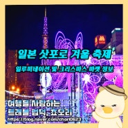일본 삿포로 겨울축제 화이트 일루미네이션 크리스마스 마켓 날짜 및 위치 정보