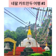 네팔 카트만두 여행 - 원숭이 사원 더르바르 광장 투어 갈만한곳 #3