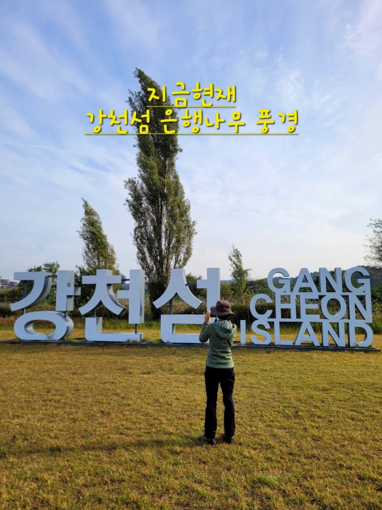 [지금현재 실시간~] 여주 강천섬 신륵사 가을여행 강천섬유원지 여주 신륵사 10월 여행지로 추천 : 네이버 블로그