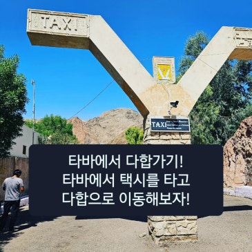 타바에서 다합가기!