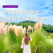 부모님과 함께 떠나는 가을 울산 여행 | 태화강국가정원 | 카페유카리 | 장생포 고래문화마을