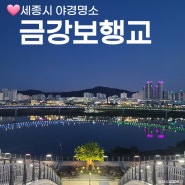 세종 금강보행교 야경 이응다리 주차장 산책