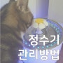 고양이 정수기, 모터 청소 관리법과 작은 팁