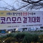 광앙읍 숯불구이 축제 코스모스 길 걷기대회