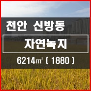 [천안토지] 천안시 동남구 신방동 자연녹지 1880평 4차선 옆 토지 매매