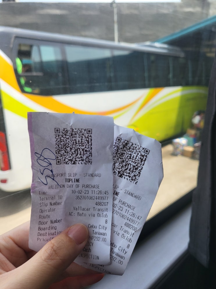 [세부 2일차] 세부남부터미널에서 오슬롭까지 - 예약없이 현지투어하기 ( 고래상어, way shack hostel ) : 네이버 블로그