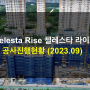 호치민부동산소식 - Celesta Rise 첼레스타 라이즈 프로젝트 공사현황 (2023.9)
