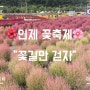 강원세계산림엑스포 인제꽃축제 “꽃길만 걷자” 방문