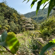 대전근교 계룡산국립공원 수통골