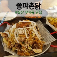 울산 무거동 닭집 쫄파촌닭 마늘닭 맛집