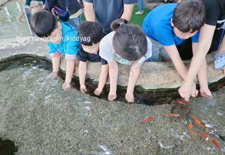 진해해양공원 해양생물테마파크와 어류생태학습관 다녀왔어요