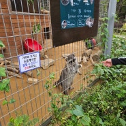 무료 입장 가능한 '인천대공원 어린이동물원'