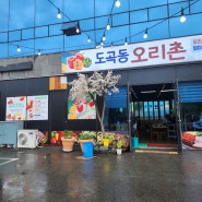 주말 드라이브 화순 맛집 <도곡동 오리촌>에서 점심 메뉴로 오리주물럭 추천!!