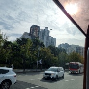 경부 부산행 고속버스 예약 방법과 프리미엄 버스 이용후기