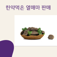 한약 먹은 열매마 판매/열매마 효능