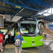 유럽여행 플릭스버스 (Flix bus) 이용 후기