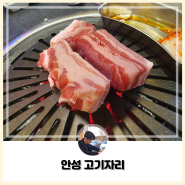[안성] 두툼한 숙성 고기가 맛있는 안성 삼겹살 맛집 고기자리 방문후기!!
