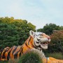 서울근교여행 과천 서울동물원 다둥이 할인