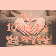 임신 10개월증상 배크기 ll 임신막달증상 37주 38주~ 진통시기