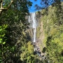 [뉴질랜드트레킹] 와이레레 wairere falls tracking, 뉴질랜드 북섬에서 가장 높은 폭포, 오클랜드에서 1시간40분정도면 갈 수있다.