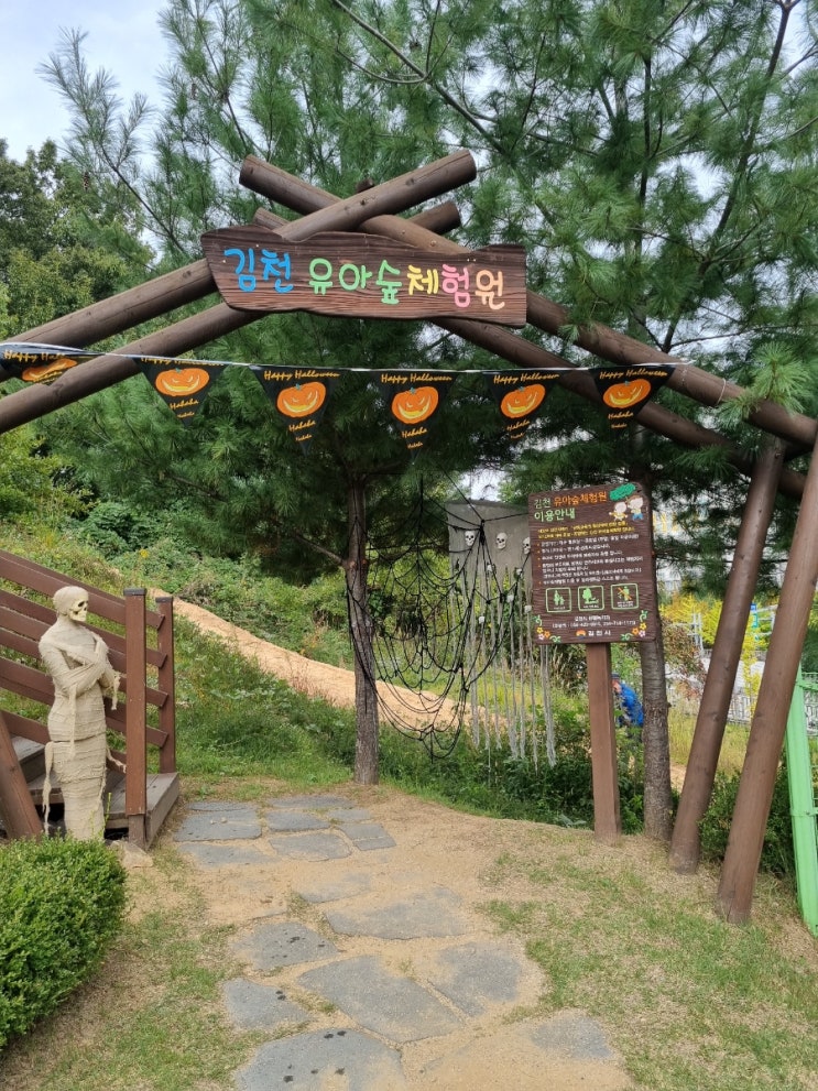 경북 김천 유아숲체험원 할로윈 숲 놀이터 무료 나들이 아이...