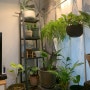 식물등 LED 식물성장등 _ 홈가드닝 필수품 _ 식물등 추천 _