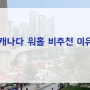 캐나다(토론토) 워킹 홀리데이 비추천하는 이유