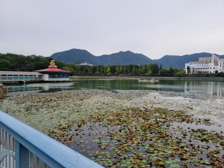 창원 가볼만한곳 용지호수공원