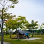 [Camping] 짧았던 가을 소풍 - 금은모래캠핑장