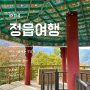[한국] KTX 당일치기 여행 - 정읍 / 내장산, 내장산 케이블카, 우화정, 쌍화차 거리