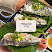 역북동 싱싱한 자연산 막회가 맛있는 가성비 횟집 마케집