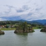 단양여행 도담삼봉(석문),이끼터널