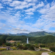 풍기 한결청국장, 봉화 용두식당, 영주 부석사, 봉화 백두대간수목원