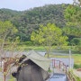 [2023.9] 홍천 도담캠핑장 | 새 캠핑템 개시! 이중연소 타닥플러스 화로대