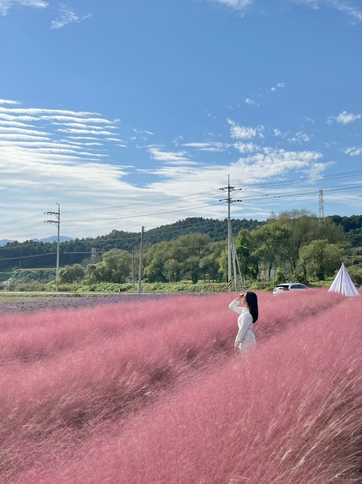 명소 춘천 유기농카페 : 사람 없이 인생샷 찍기, 춘천...