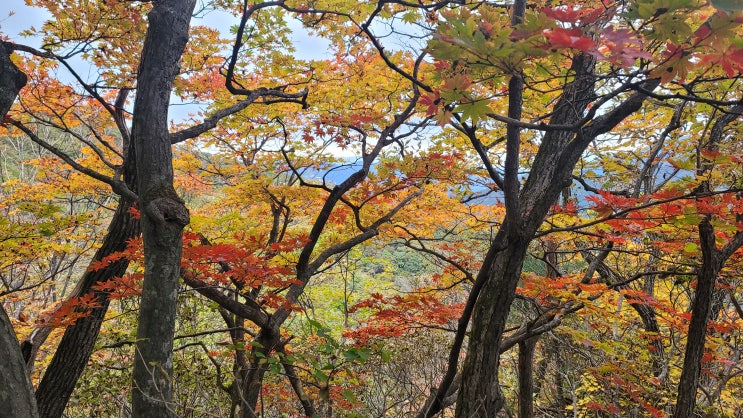 한북정맥 (광덕고개-견치봉) 구간 백패킹 : 네이버 블로그