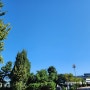 [사진]강의중 쉬는시간, 하늘이 너무 좋아서..