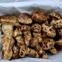 자연산 송이버섯 가격 가정용 선물용 시세 꿀팁