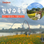 대전 한밭수목원 가을꽃축제 엑스포 포토존 명소