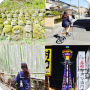 오사카 교토 자유여행 : 3일차 아라시야마/오타기염불사/치쿠린/도게츠교
