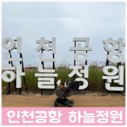 강아지 동반 영종도 인천공항 하늘정원 코스모스 꽃밭 개장