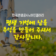 검증된 여행사 마인갤러리와 양구여행 (Feat. 한국관광공사)