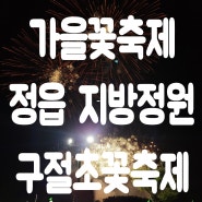 광주전라추천여행지 가을꽃축제 가볼만한곳 정읍구절초지방정원 구절초꽃축제 입장료 및 개막식 정보