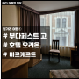 헝가리 여행 1 부다페스트 고 어플 사용 꿀팁 및 호텔 오리온 바르케르트 (Hotel Orion Várkert)