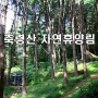 축령산 자연휴양림 캠핑 (feat 잣 까는 밤)