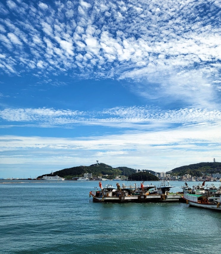 완도 당일치기 여행코스 완도전복거리, 명사십리해수욕장, 완도군해조류센터 가볼만한곳 국내여행지추천 : 네이버 블로그