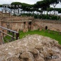 로마 가볼만한곳 포로로마노 콘스탄티누스 개선문