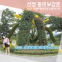 산청 동의보감촌에서 2023산청 세계전통의약항노화엑스포 즐겨요