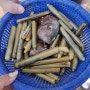 태안 청포대 여행 : 가성비 펜션과 맛조개 체험맛집