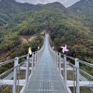 서울근교 / 가평 당일치기 / 운악산 출렁다리 / 사랑굿 숯불달갈비 / 가평운악산 포도 / 얼시마시 원조 양평해장국 본점 #가평가볼만한곳